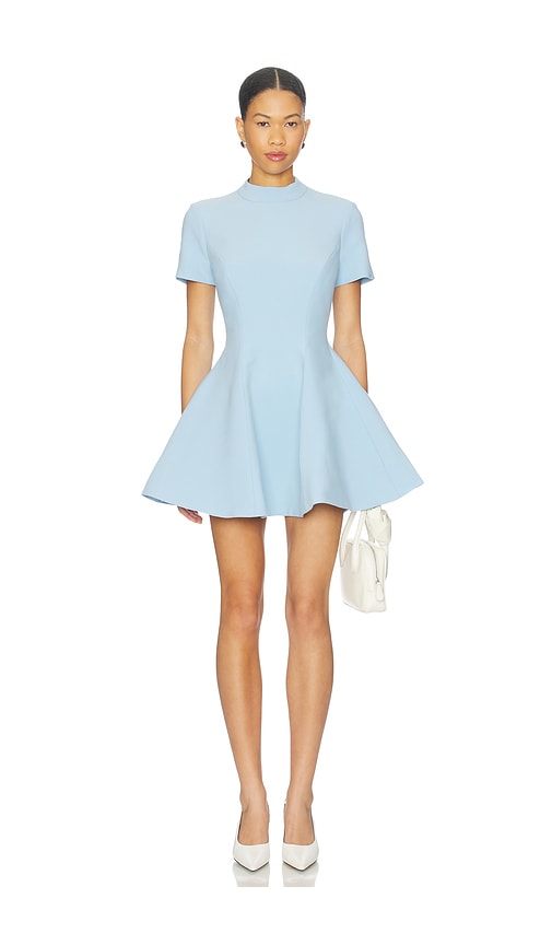 Zephyra Collar Mini Dress