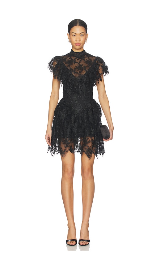 Tarryn Ruffle Lace Mini Dress
