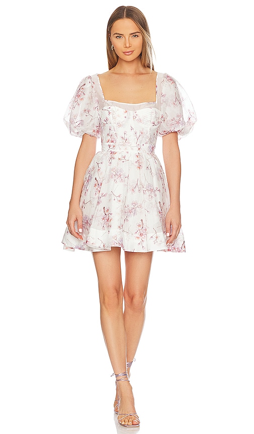 Gracious Floral Mini Dress