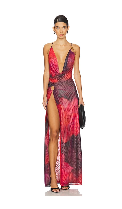Vixen Maxi Dress